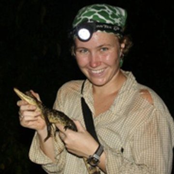 Night survey
