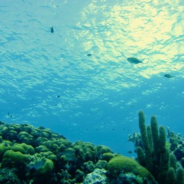 Isla San Andres, Colombia