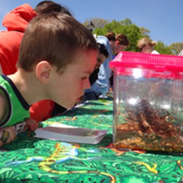 Save the Frogs Day