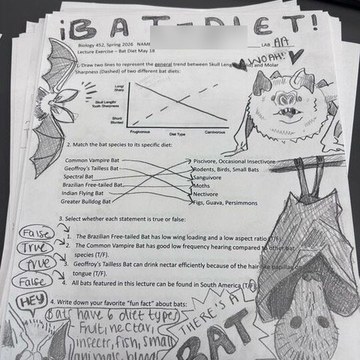Bat diet worksheet