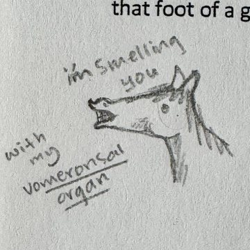 Student sketch